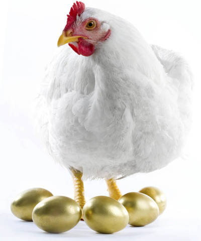 Chicken with golden eggs
